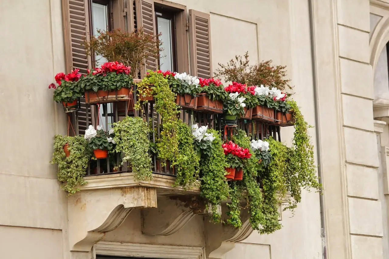 Immagine selezionata