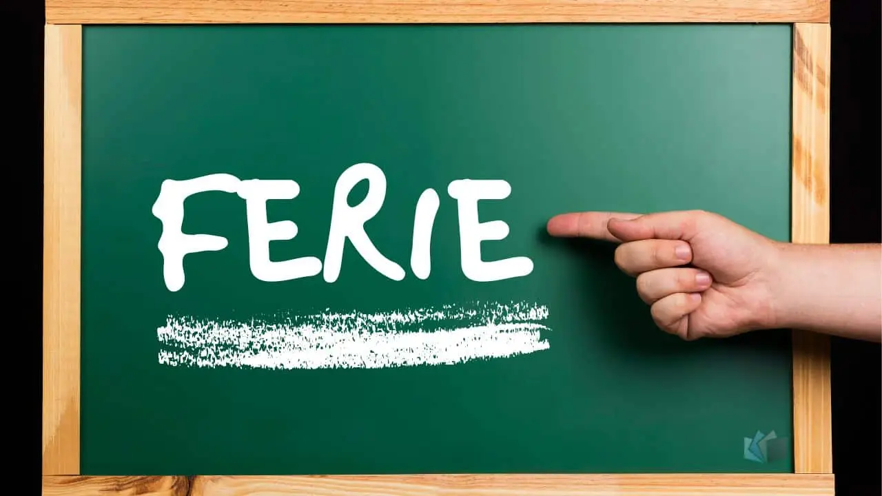 Immagine selezionata